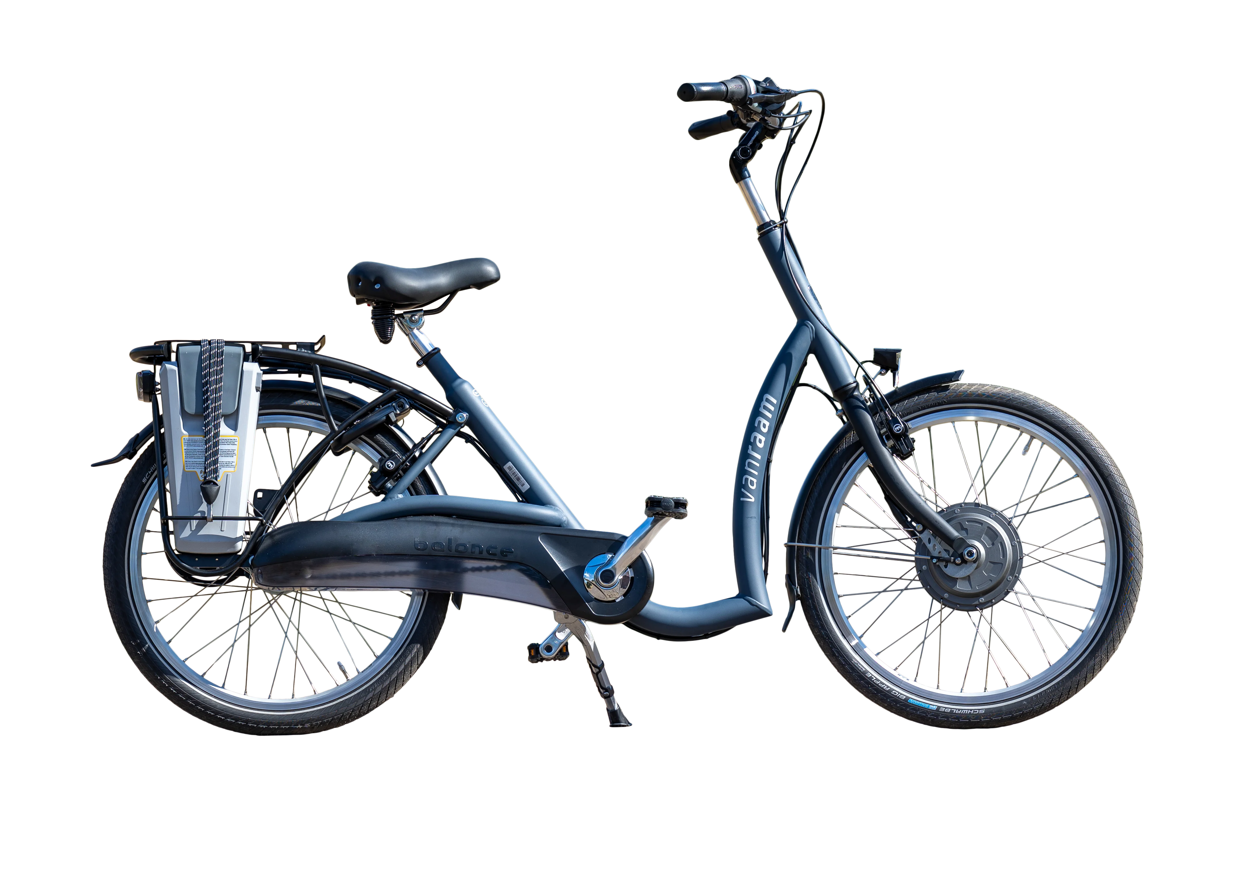 Betuttelen Hond voor mij Elektrische Omafiets kopen? | E-bike specialist Ronald Schot