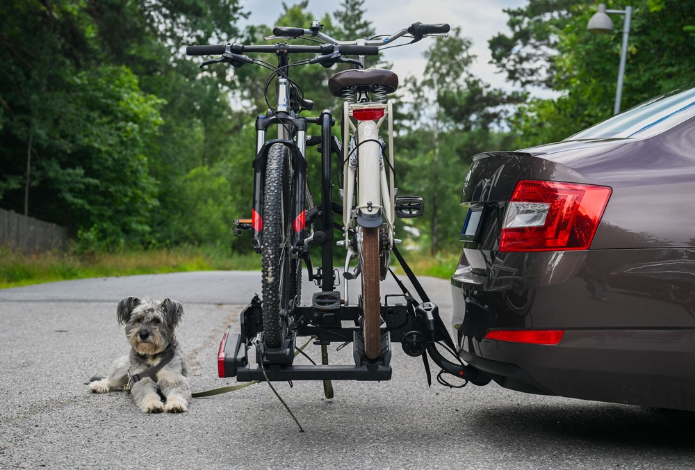 controleer of de fietsendrager stevig vastzit